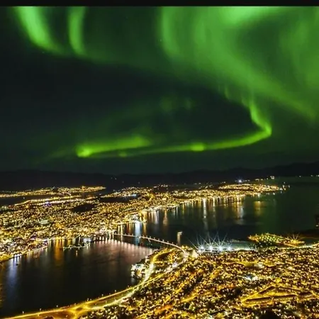 Great In The Bjerkaker *