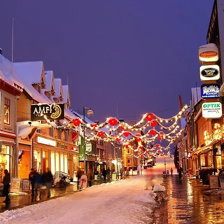 Daire Great In The Bjerkaker