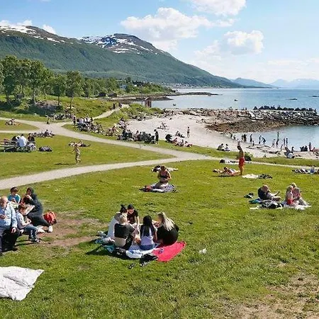 Great In The Bjerkaker Daire *